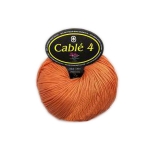 Kabel 4 Farbe 55